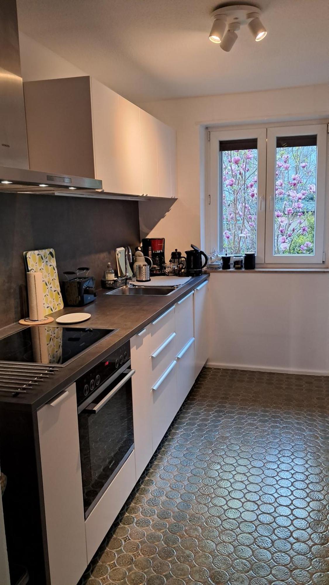Wohnung Medicus, 3 Zkb, Balkon, Garten, Naehe Stadtpark, Ruhig Kaiserslautern Exterior foto